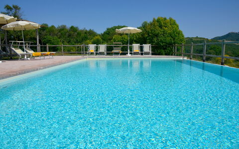 Villa Guardistallo: Wasser, Himmel, Eigentum, Schwimmbad, Azurblau, Gewässer, Baum, Freizeit, Aqua, Pflanze