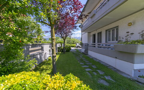 Pontremoli Apartments: Pflanze, Daytime, Himmel, Gebäude, Botanik, Natur, Baum, Gelb, Blume, Vegetation