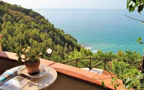 Arborea: Meer, Ozean, Küsten Und Ozeanische Forms, Küste, Tropen, Eco Hotel, Balkon, Bucht, Resort, Gartenmöbel