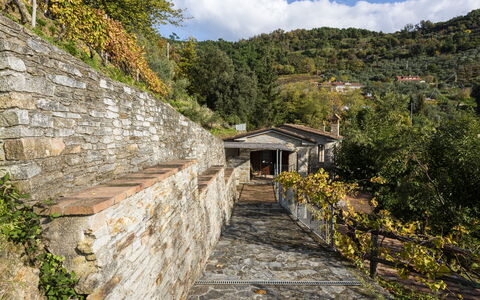 Villa Montignoso: Himmel, Pflanze, Wolke, Gebäude, Holz, Natürliche Landschaft, Berg, Steigung, Strassenbelag, Baum
