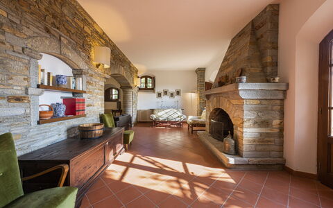 Villa Montignoso: Möbel, Bilderrahmen, Stuhl, Couch, Holz, Zimmerpflanze, Pflanze, Halle, Wohnzimmer, Tabelle