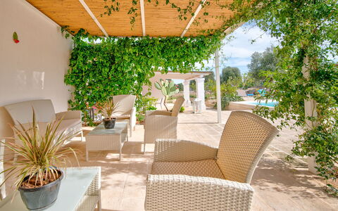 Masseria Tufo Bianco: Pflanze, Möbel, Tabelle, Stuhl, Zimmerpflanze, Gartenmöbel, Schatten, Blumentopf, Baum, Arecales