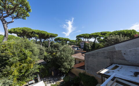 Residenza Morin: Wolke, Himmel, Pflanze, Gebäude, Baum, Urban Design, Arecales, Landschaft, Kumulus, Gras