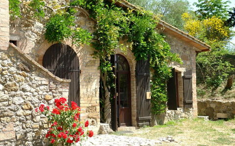 Tenuta Le Sodole: Pflanze, Blume, Gebäude, Fenster, Tür, Baum, Gras, Strauch, Ländliches Gebiet, Landschaft