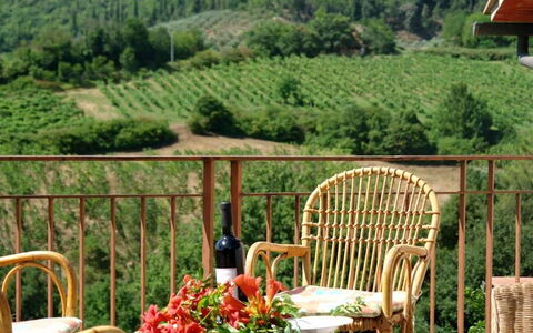 Tenuta Le Sodole: Pflanze, Möbel, Himmel, Eigentum, Wolke, Stuhl, Blume, Grün, Blatt, Natur