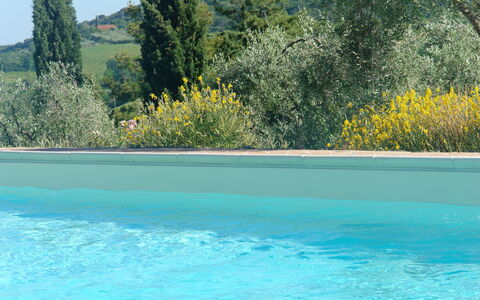 Unterkunft:&nbsp;Papavero Holiday Home