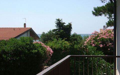 Casa Argentario: Pflanze, Gebäude, Himmel, Eigentum, Blume, Holz, Baum, Haus, Wohngebiet, Grundeigentum