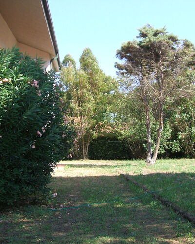 Casa Argentario: Pflanze, Eigentum, Himmel, Baum, Grundstueck, Strassenbelag, Schatten, Gras, Ground, Natürliche Landschaft