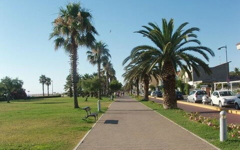 Villa Clair: Baum, Öffentlicher Raum, Erholung, Walkway, Gehölz, Bürgersteig, Schatten, Freizeit, Urlaub