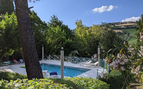 Villa Millefiori: Wasser, Pflanze, Wolke, Himmel, Wasservorräte, Natur, Natürliche Landschaft, Schwimmbad, Baum, Vegetation