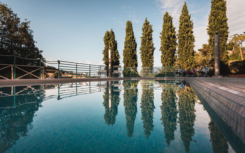 Villa Millefiori: Wasser, Himmel, Wasservorräte, Daytime, Natur, Wolke, Natürliche Landschaft, Baum, Wasserlauf, Bank