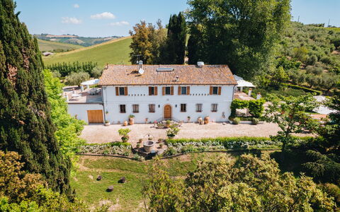 Villa La Picena: Haus, Estate, Zuhause, Villa, Villa, Garten, Landscaping, Hazienda, Bauernhaus, Plantage
