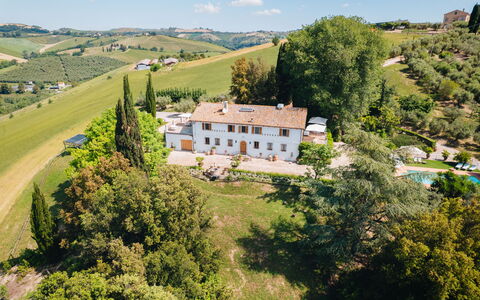 Villa La Picena: Estate, Villa, Villa, Hazienda, Essen, Schwimmbad, Plantage, Eco Hotel, Bauernhaus