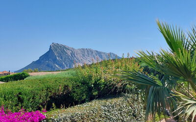 Porto San Paolo 716
