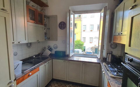 Lucida: Spüle, Cabinetry, Sinken, Countertop, Zimmerpflanze, Fenster, Küche, Holz, Zapfhahn, Haushaltsgerät