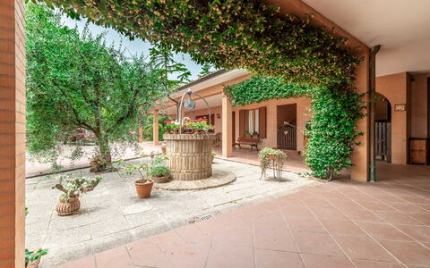 Villa Rosso Corbezzolo: Pflanze, Gebäude, Blumentopf, Zimmerpflanze, Fenster, Tür, Holz, Die Architektur, Gras, Schatten