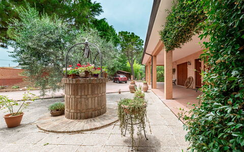 Villa Rosso Corbezzolo: Pflanze, Eigentum, Blumentopf, Gebäude, Blume, Zimmerpflanze, Strassenbelag, Die Architektur, Nachbarschaft, Flooring