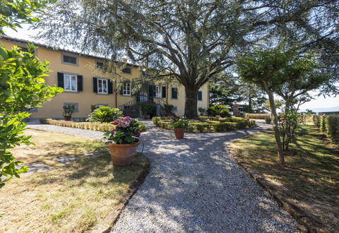 Villa San Gennaro: Pflanze, Gebäude, Fenster, Baum, Himmel, Strassenbelag, Grundstueck, Haus, Landschaft, Gras
