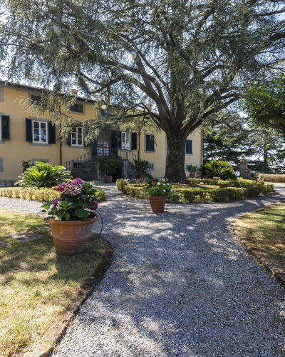 Villa San Gennaro: Pflanze, Gebäude, Fenster, Baum, Himmel, Strassenbelag, Grundstueck, Haus, Landschaft, Gras
