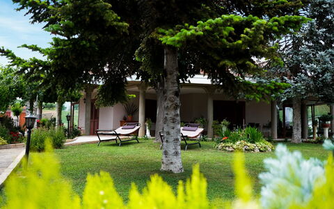 Residenza Thaulero: Pflanze, Eigentum, Gebäude, Botanik, Grün, Natur, Blatt, Baum, Vegetation, Die Architektur