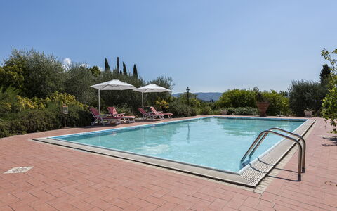 Villa Cevoli: Wasser, Himmel, Schwimmbad, Pflanze, Rechteck, Schatten, Baum, Verbundwerkstoff, Freizeit, Gartenmöbel