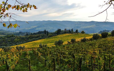 Lamore di Carla - Greve in Chianti, Toskana, Italien