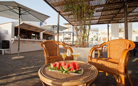 Baraka Apartments: Möbel, Eigentum, Tabelle, Pflanze, Stuhl, Gartenmöbel, Die Architektur, Interior Design, Holz, Flooring