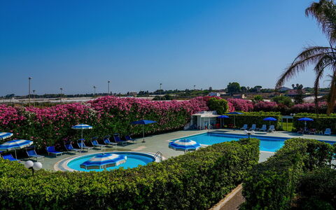 Baraka Apartments: Blau, Garten, Landscaping, Rasen, Hecke, Resort, Schwimmbad, Park, Botanischer Garten