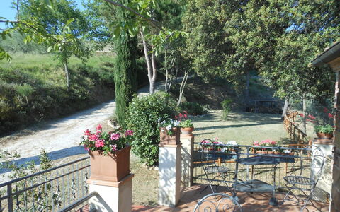 Casa Mulinello: Pflanze, Blume, Baum, Blumentopf, Gartenmöbel, Schatten, Zimmerpflanze, Gras, Tisch Im Freien, Freizeit