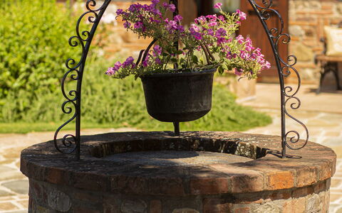 Casa Vacanze Paradiso: Blume, Pflanze, Blumentopf, Holz, Schriftart, Gras, Metall, Garten, Jahr Plant, Landscaping