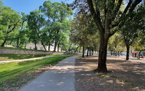 Residenza Otello: Pflanze, Himmel, Baum, Strassenbelag, Schatten, Natürliche Landschaft, Durchgangsstrasse, Gras, Landschaft, Asphalt