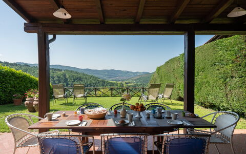 Villa Olivi - Subbiano, Toscana, Pool And Nature: Tabelle, Pflanze, Eigentum, Möbel, Stuhl, Himmel, Natur, Schatten, Veranda, Blumentopf