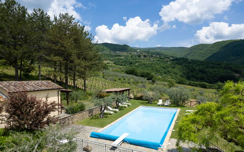 Villa Olivi - Subbiano, Toscana, Pool And Nature: Pflanze, Wasser, Wolke, Himmel, Eigentum, Schwimmbad, Azurblau, Baum, Natürliche Landschaft, Berg