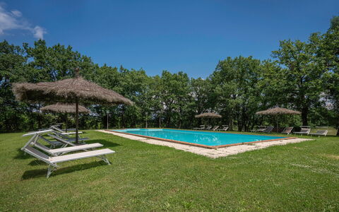 Belvedere - Falceto, Ambra, Toscana: Himmel, Eigentum, Pflanze, Wasser, Schwimmbad, Schatten, Baum, Haus, Grundstueck, Gras