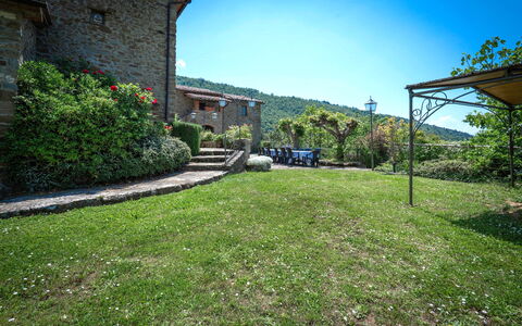 Colle Degli Ulivi - Cortona, Pool, Nature, Privacy: Pflanze, Himmel, Eigentum, Gebäude, Blatt, Grundstueck, Vegetation, Natürliche Landschaft, Biome, Gras