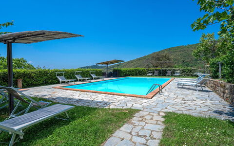 Colle Degli Ulivi - Cortona, Pool, Nature, Privacy: Wasser, Himmel, Pflanze, Schwimmbad, Regenschirm, Gartenmöbel, Gebäude, Schatten, Rechteck, Baum