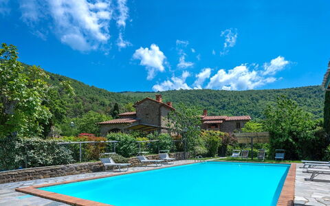 Colle Degli Ulivi - Cortona, Pool, Nature, Privacy: Wasser, Wolke, Himmel, Pflanze, Eigentum, Blau, Grün, Schwimmbad, Azurblau, Baum