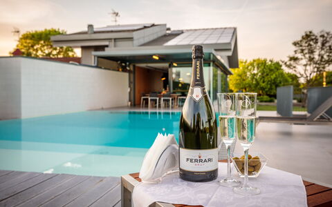 Villa Dalia Venezia: Flasche, Tabelle, Drinkware, Geschirr, Glasflasche, Barware, Wein, Pflanze, Kelche, Wasser