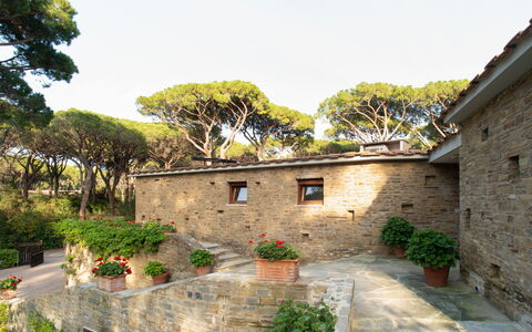 Villa La Pineta: Pflanze, Himmel, Eigentum, Gebäude, Fenster, Baum, Hütte, Haus, Blumentopf, Nachbarschaft