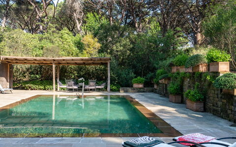 Villa La Pineta: Pflanze, Wasser, Schwimmbad, Baum, Gras, Freizeit, Wohngebiet, Schatten, Grundeigentum, Landschaft