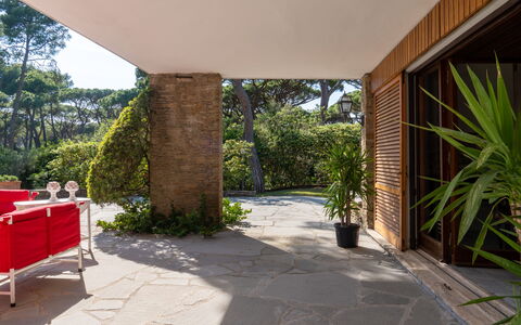 Villa La Pineta: Pflanze, Eigentum, Schatten, Tabelle, Interior Design, Baum, Gras, Gebäude, Fussboden, Wand
