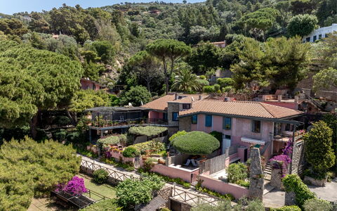 Argentarola House, Porto Santo Stefano, Seaview An: Pflanze, Eigentum, Pflanzengemeinschaft, Himmel, Gebäude, Baum, Vegetation, Biome, Natürliche Landschaft, Haus