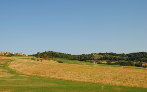 Lina - Podere Ribatti - Casole D'elsa, Toscana: Himmel, Pflanze, Natürliche Landschaft, Steigung, Baum, Landwirtschaft, Einfach, Bergforms, Gras, Wiese