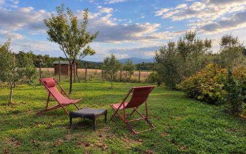 Alice - Podere Ribatti - Casole D'elsa, Toscana: Gras, Blatt, Natürliche Landschaft, Landschaft, Sommer, Grundstueck, Einfach, Möbel, Ländliches Gebiet, Garten
