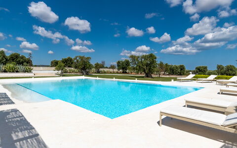 Masseria Isaia: Wasser, Wolke, Himmel, Schwimmbad, Azurblau, Baum, Gartenmöbel, Schatten, Pflanze, Freizeit