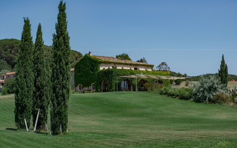 Villa Bagnoli: Himmel, Pflanze, Natürliche Landschaft, Grundstueck, Gras, Lärche, Baum, Immergrün, Landschaft, Graspflanze