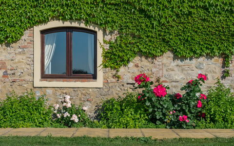 Villa Bagnoli: Blume, Pflanze, Fenster, Blatt, Botanik, Die Architektur, Vegetation, Gebäude, Rechteck, Gras