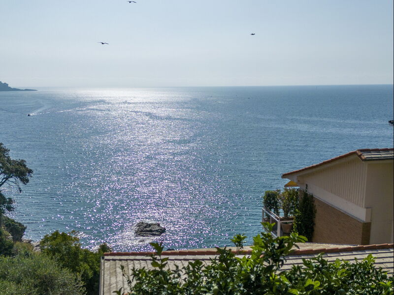 A Due Passi Da Camogli 2