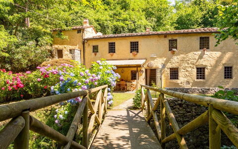 Molin Barletta, Private Pool, Nature - Marliana, T: Pflanze, Blume, Gebäude, Fenster, Eigentum, Baum, Holz, Zaun, Haus, Gelb