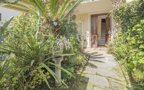 La Bouganville, Forte Dei Marmi, Private Garden, W: Strauch, Garten, Blumentopf, Landscaping, Zimmerpflanze, Garten, Flagstone, Hinterhof, Hof